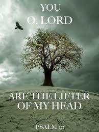 Lifter.of.head (194x259)